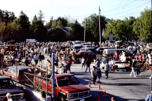 View of Maxwell Street Day from office